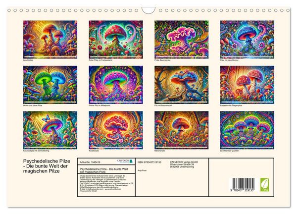 Produktbild: Psychedelische Pilze - Die bunte Welt der magischen Pilze (Wandkalender 2026 DIN A3 quer), CALVENDO Monatskalender