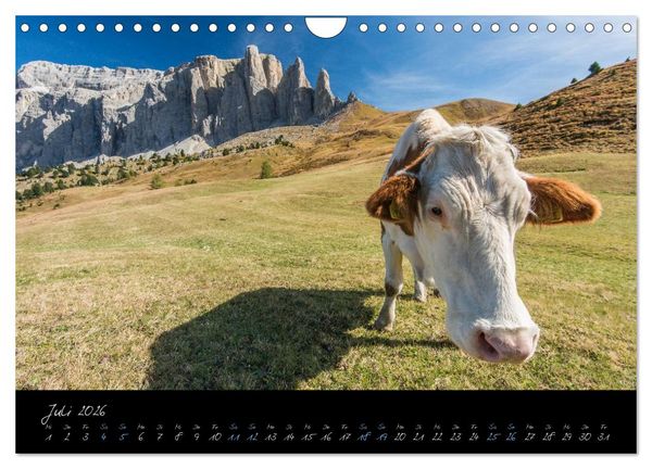 Produktbild: Dolomiten (Wandkalender 2026 DIN A4 quer), CALVENDO Monatskalender