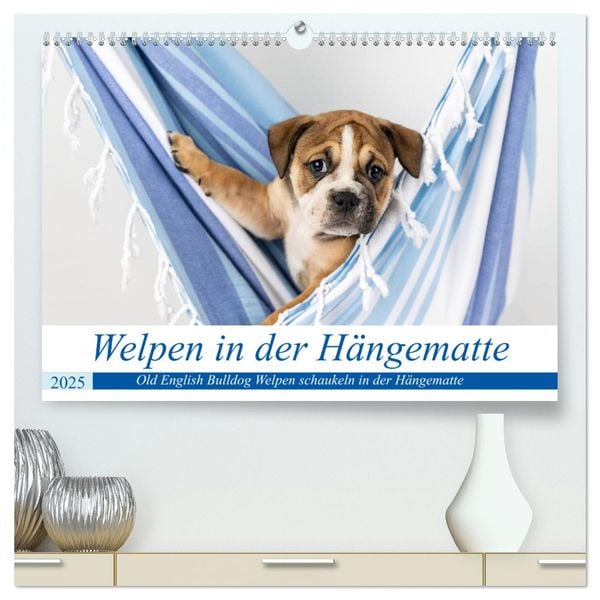 Welpen in der Hängematte (hochwertiger Premium Wandkalender 2025 DIN A2 quer), Kunstdruck in Hochglanz