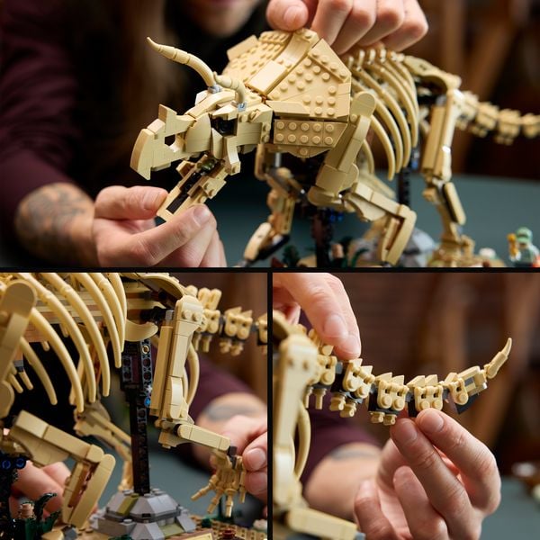Produktbild: LEGO Jurassic World 77985 Dinosaurier-Fossilien: Triceratops, Modellbau