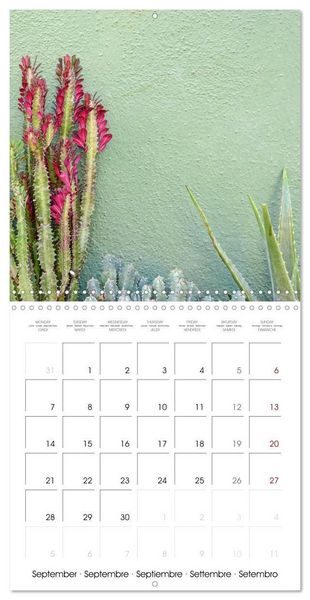 Produktbild: Leaves and flowers of Burano (Wall Calendar 2026 12 &times; 12 Inch) CALVENDO 12 Month Wall Calendar