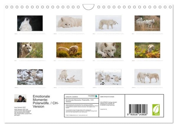 Produktbild: Emotionale Momente: Polarw&ouml;lfe. / CH-Version (Wandkalender 2026 DIN A4 quer), CALVENDO Monatskalender