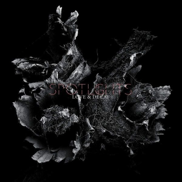 Produktbild: Love & Decay (2LP,Hellviolette)