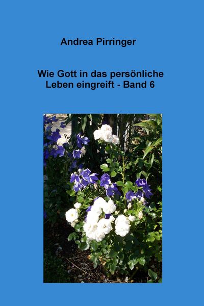 Produktbild: Wie Gott in das pers&ouml;nliche Leben eingreift - Band 6