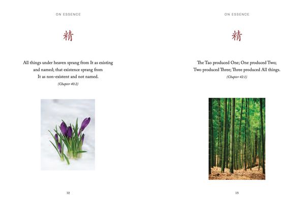Produktbild: Tao Wisdom