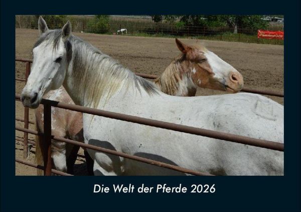 Produktbild: Die Welt der Pferde 2026 Fotokalender DIN A4
