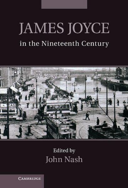 Produktbild: James Joyce in the Nineteenth Century