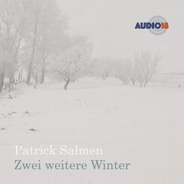 Zwei weitere Winter - Patrick Salmen, Audio, 4066004313061