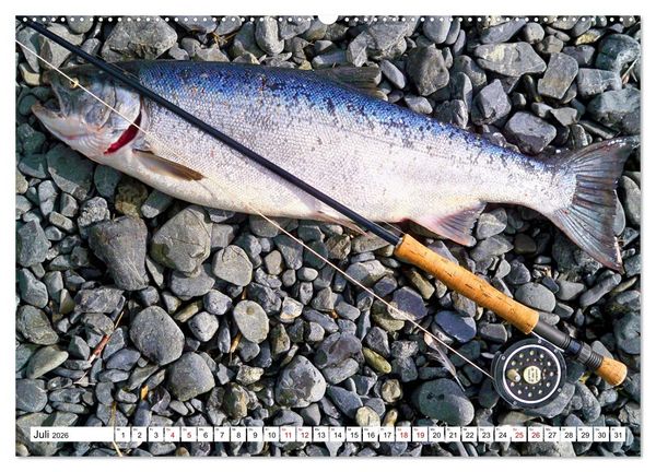 Produktbild: Anglergl&uuml;ck - den Fisch am Haken (Wandkalender 2026 DIN A2 quer), CALVENDO Monatskalender