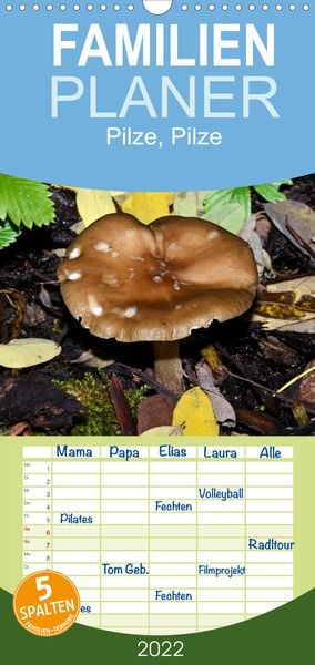 Produktbild: Familienplaner Pilze, Pilze (Wandkalender 2022 , 21 cm x 45 cm, hoch)