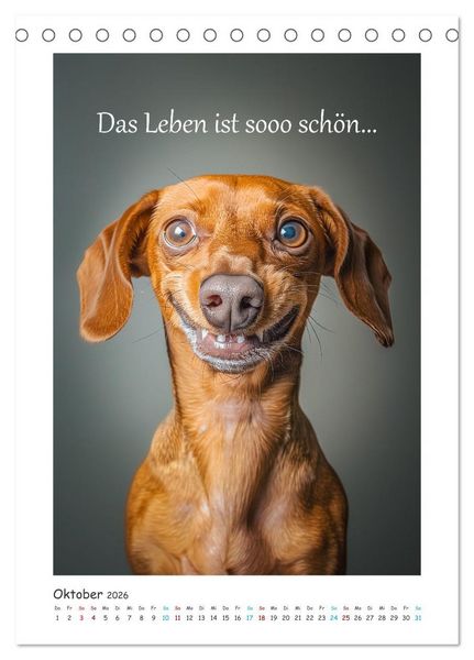 Produktbild: Lach Dich fit ! (Tischkalender 2026 DIN A5 hoch), CALVENDO Monatskalender