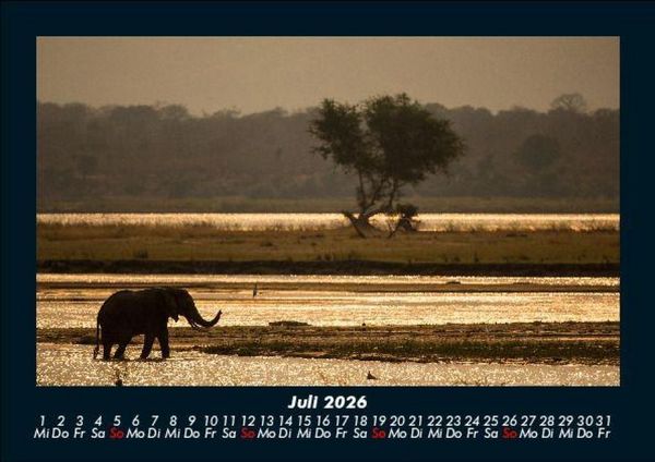 Produktbild: Der Elefantenkalender 2026 Fotokalender DIN A5