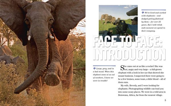Produktbild: Face to Face with Elephants