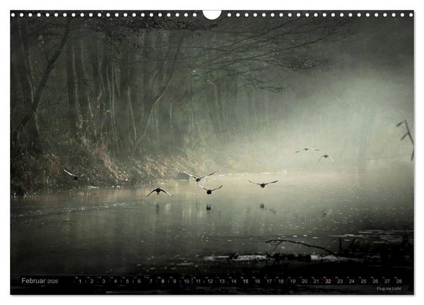 Produktbild: Traumlandschaften 2026 (Wandkalender 2026 DIN A3 quer), CALVENDO Monatskalender