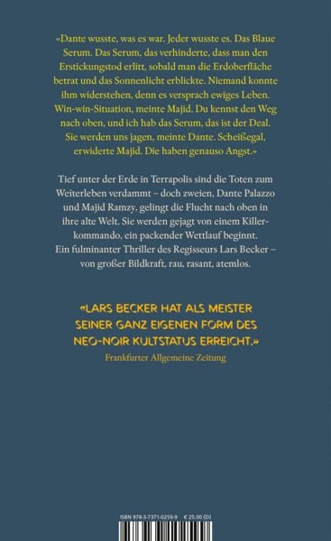 Produktbild: Es wird Steine regnen
