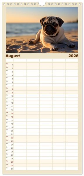 Produktbild: Familienplaner 2026 - Lustige Mops-Hunde: Die charmanten Meister von Chaos und Unfug mit 5 Spalten (Wandkalender, 21 x 45 cm) CALVENDO