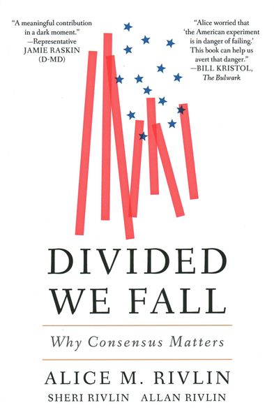 Produktbild: Rivlin, A: Divided We Fall