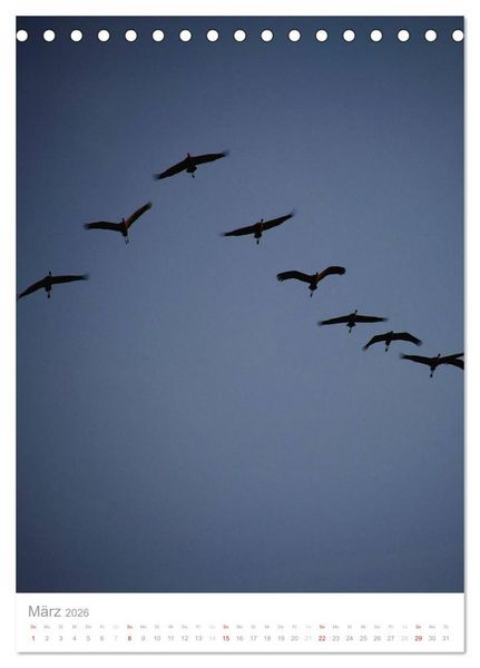 Produktbild: Der Flug der Kraniche (Tischkalender 2026 DIN A5 hoch), CALVENDO Monatskalender