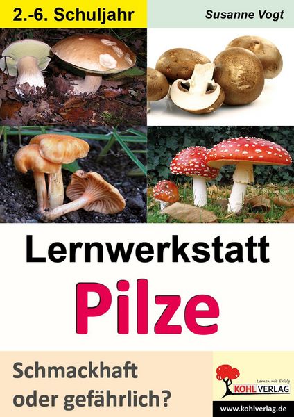 Produktbild: Lernwerkstatt Pilze