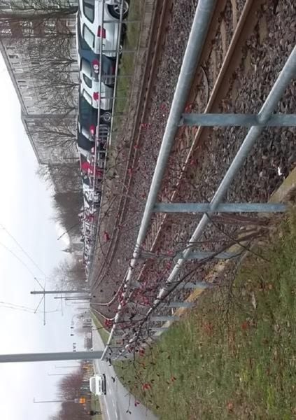 Die Erzählungen des Sheik Akim, Taschenbuch von Joachim Ziegler, Epubli, 9783746798363