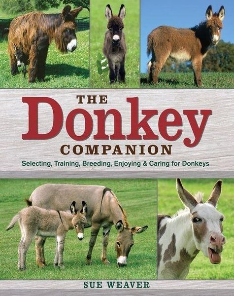 Produktbild: The Donkey Companion