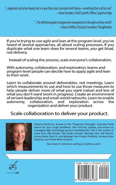 Produktbild: Agile and Lean Program Management