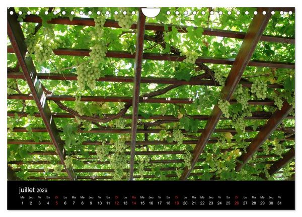 Produktbild: Cr&egrave;te, l'&icirc;le rebelle (Calendrier mural 2026 DIN A4 vertical), CALVENDO calendrier mensuel