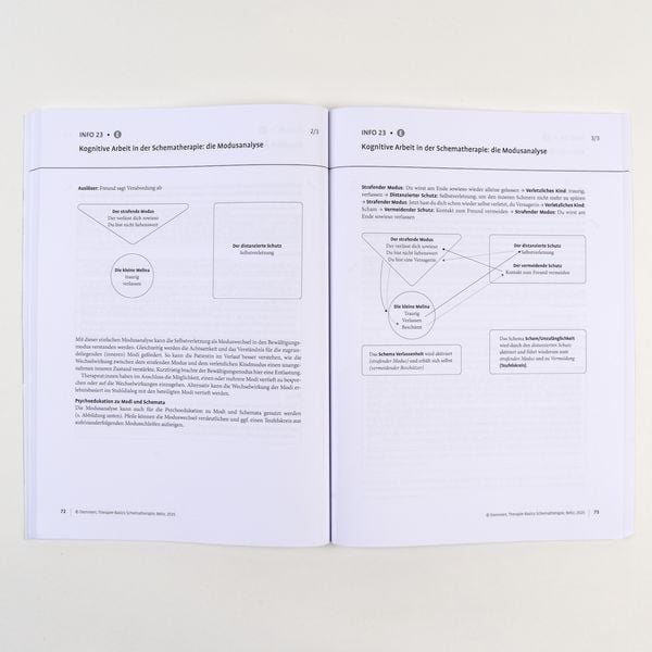 Produktbild: Therapie-Basics Schematherapie