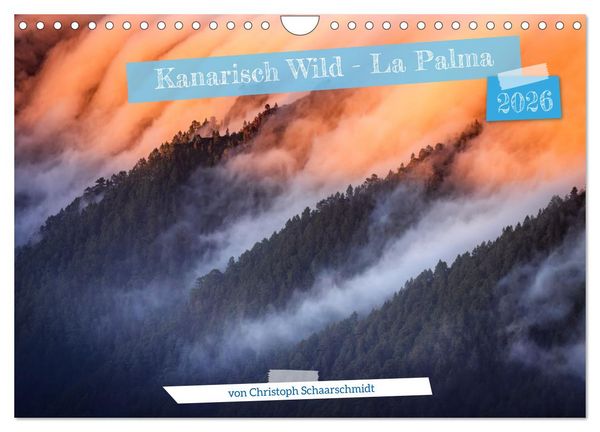Kanarisch Wild - La Palma (Wandkalender 2026 DIN A4 quer), CALVENDO Monatskalender