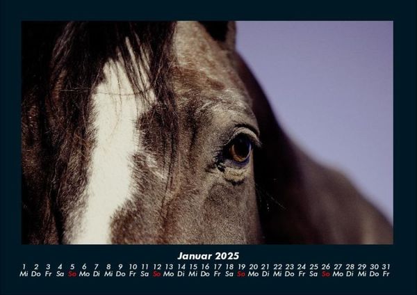 Produktbild: Pferdegefl&uuml;ster 2025 Fotokalender DIN A4