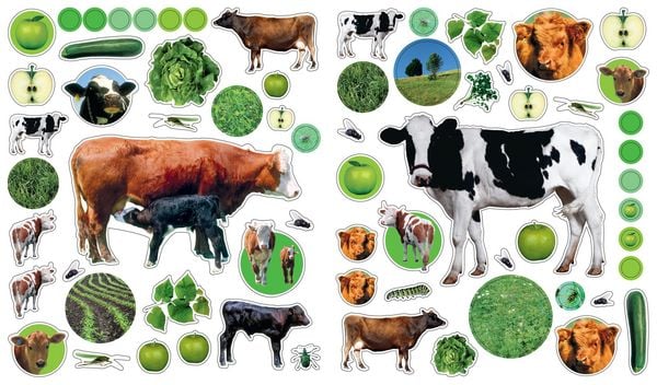 Produktbild: EyeLike Stickers: On the Farm