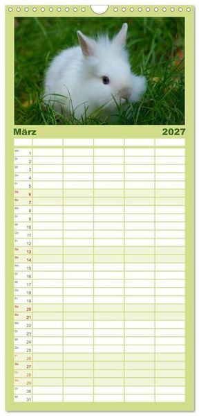 Produktbild: Familienplaner 2027 - Liebenswerte Zwergkaninchen mit 5 Spalten (Wandkalender, 21 x 45 cm) CALVENDO