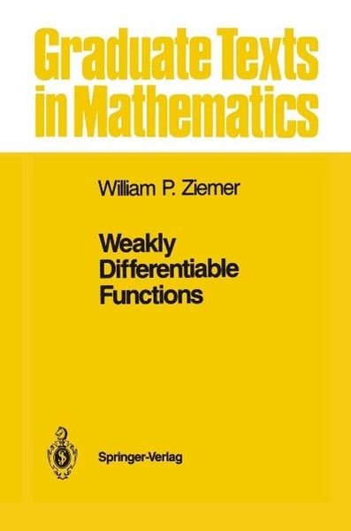 Produktbild: Weakly Differentiable Functions