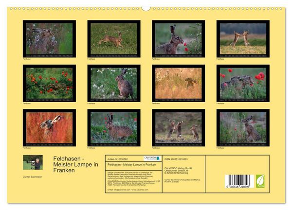 Produktbild: Feldhasen - Meister Lampe in Franken (hochwertiger Premium Wandkalender 2026 DIN A2 quer), Kunstdruck in Hochglanz