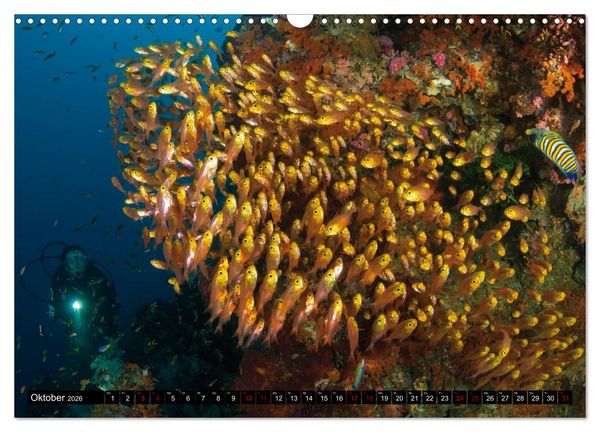 Produktbild: Malediven - Die bunte Unterwasserwelt (Wandkalender 2026 DIN A3 quer), CALVENDO Monatskalender