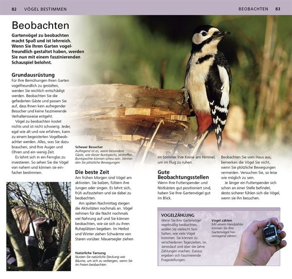 Produktbild: Gartenv&ouml;gel beobachten und bestimmen