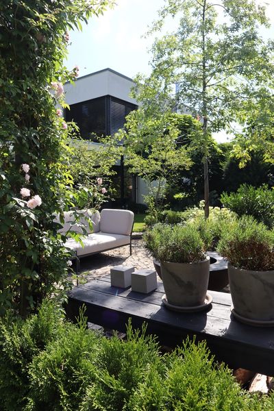 'Zuhause im SkandiGarten. Inspiration, Dekoideen und Rezepte von