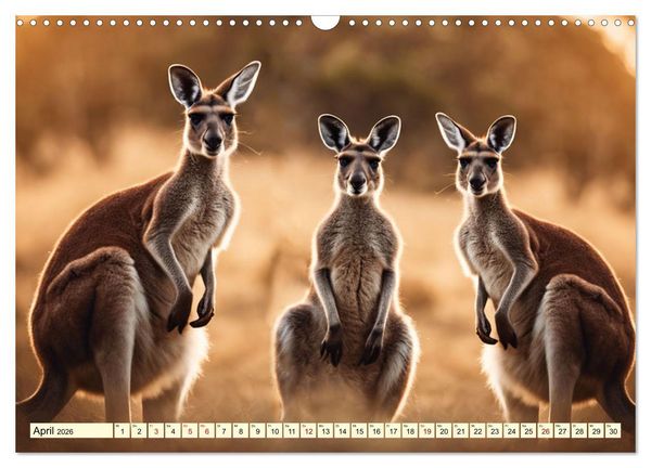 Produktbild: Australiens faszinierende Fauna (Wandkalender 2026 DIN A3 quer), CALVENDO Monatskalender