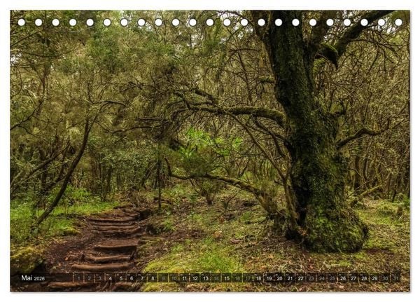 Produktbild: La Gomera 2026 - Eine Entdeckungsreise (Tischkalender 2026 DIN A5 quer), CALVENDO Monatskalender