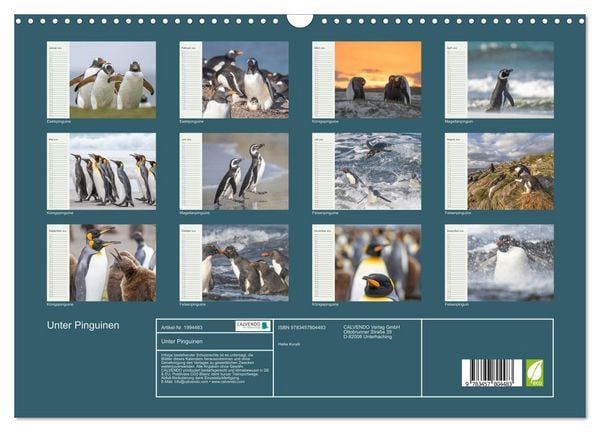 Produktbild: Unter Pinguinen (Wandkalender 2026 DIN A3 quer), CALVENDO Monatskalender