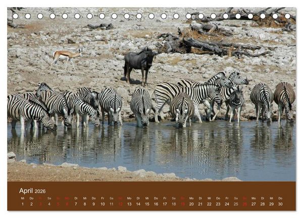 Produktbild: Namibia - faszinierende Menschen und Tiere (Tischkalender 2026 DIN A5 quer), CALVENDO Monatskalender