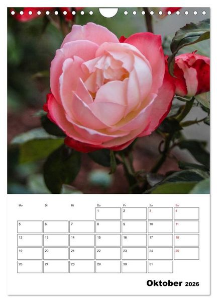 Produktbild: Zauberhafte Rosen (Wandkalender 2026 DIN A4 hoch), CALVENDO Monatskalender