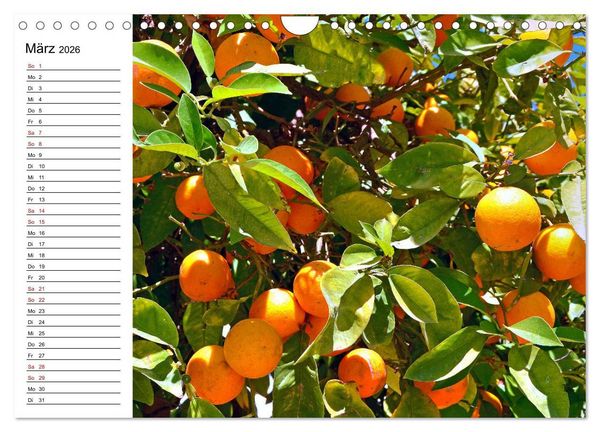 Produktbild: Griechische Insel Kos (Wandkalender 2026 DIN A4 quer), CALVENDO Monatskalender