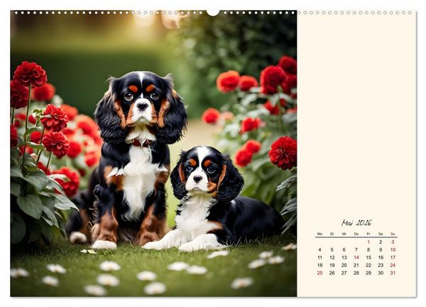 Produktbild: Goldige Kavalier King Charles Spaniels (hochwertiger Premium Wandkalender 2026 DIN A2 quer), Kunstdruck in Hochglanz