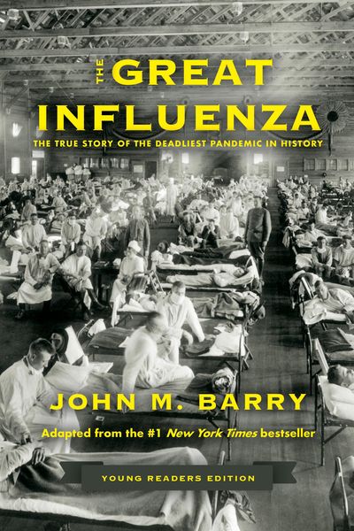 Produktbild: The Great Influenza