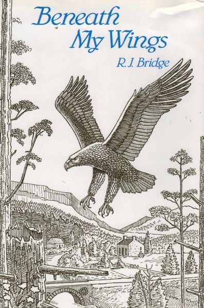 Produktbild: Beneath My Wings