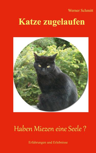 Produktbild: Katze zugelaufen