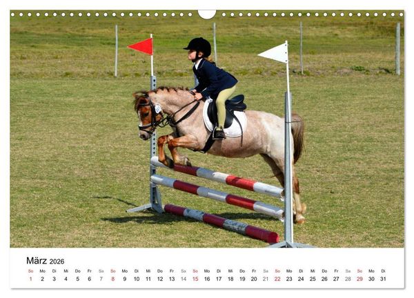 Produktbild: Eventing - Der ultimative Reitsport (Wandkalender 2026 DIN A3 quer), CALVENDO Monatskalender