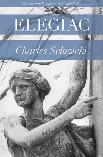 Produktbild: Elegiac