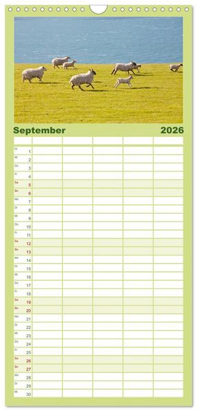 Produktbild: Familienplaner 2026 - Schafe - Weich und wollig mit 5 Spalten (Wandkalender, 21 x 45 cm) CALVENDO
